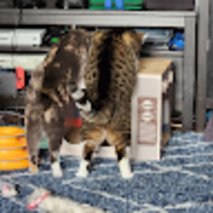 Meet your Posher, Barbara